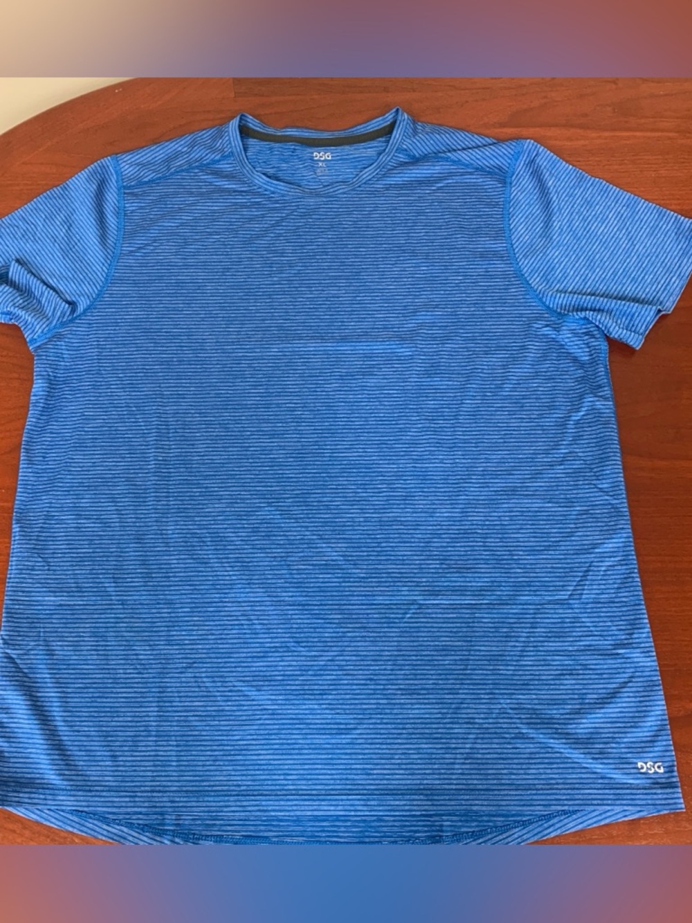 DSG Men's Blue Striped Performance Short Sleeve Tee